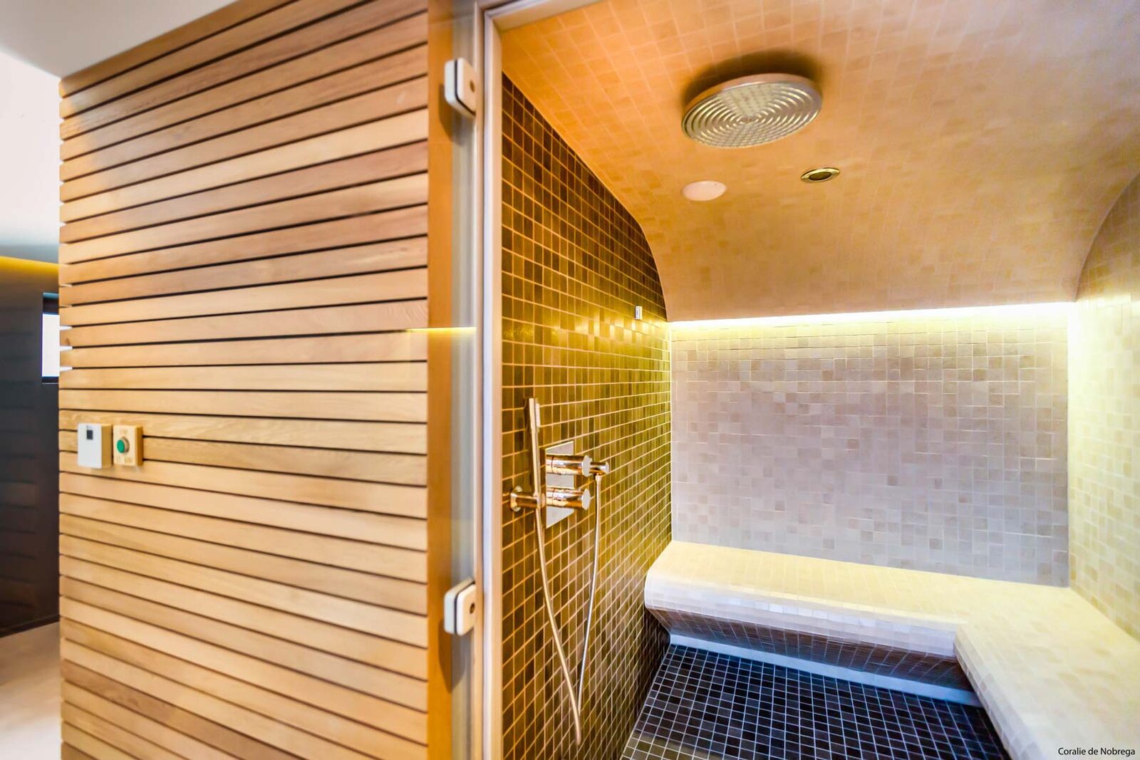 Puressentiel Appartement — L'espace bien-être — sauna et douche en mosaïque